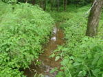 Culvert Crossing, Castle Hill, Maine
