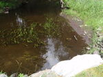 Culvert Crossing, Hardwood Brook, Caribou, Maine