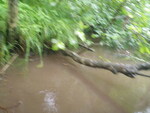 Culvert Crossing, Perham, Maine