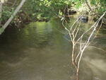 Culvert Crossing, Nichols Brook, Limestone, Maine