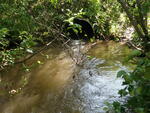 Culvert Crossing, Nichols Brook, Limestone, Maine