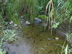 Culvert Crossing, Caribou, Maine