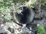 Culvert Crossing, Caribou, Maine