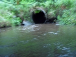 Culvert Crossing, Perham, Maine