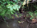 Culvert Crossing, Perham, Maine