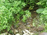 Culvert Crossing, Presque Isle, Maine