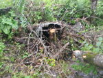 Culvert Crossing, Caribou, Maine