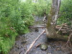 Culvert Crossing, Caribou, Maine