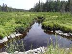 Multiple Culvert Crossing, New Sweden, Maine