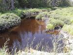 Multiple Culvert Crossing, New Sweden, Maine
