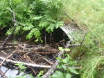 Culvert Crossing, New Sweden, Maine
