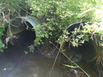 Multiple Culvert Crossing, New Sweden, Maine