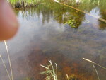 Multiple Culvert Crossing, New Sweden, Maine