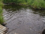 Culvert Crossing, Sealander Brook, Woodland, Maine