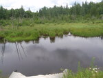 Culvert Crossing, Sealander Brook, Woodland, Maine