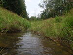 Multiple Culvert Crossing, Limestone, Maine