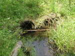 Multiple Culvert Crossing, Limestone, Maine