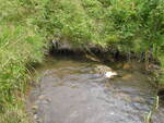 Multiple Culvert Crossing, Limestone, Maine