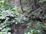 Culvert Crossing, Van Buren, Maine
