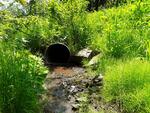 Culvert Crossing, Van Buren, Maine