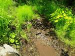 Culvert Crossing, Van Buren, Maine