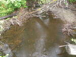 Culvert Crossing, Perham, Maine