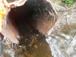Culvert Crossing, Perham, Maine