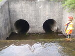 Multiple Culvert Crossing, Greenlaw Brook, Limestone, Maine
