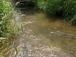 Multiple Culvert Crossing, Webster Brook, Limestone, Maine