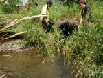 Multiple Culvert Crossing, Webster Brook, Limestone, Maine