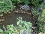 Culvert Crossing, Richardson Brook, Presque Isle, Maine