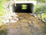 Culvert Crossing, Nichols Brook, Limestone, Maine