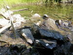 Culvert Crossing, Nichols Brook, Limestone, Maine
