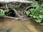 Multiple Culvert Crossing, Conant Brook, Fort Fairfield, Maine