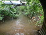 Culvert Crossing, Presque Isle, Maine
