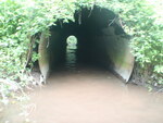 Culvert Crossing, Presque Isle, Maine