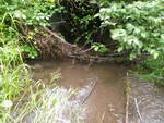 Culvert Crossing, Perham, Maine