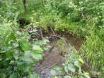 Culvert Crossing, Perham, Maine