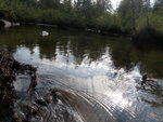 Multiple Culvert Crossing, Snake Brook, Stockholm, Maine