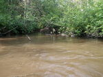 Culvert Crossing, Snake Brook, Stockholm, Maine