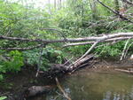 Culvert Crossing, Greenlaw Brook, Limestone, Maine