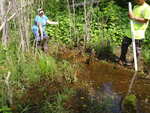Culvert Crossing, Greenlaw Brook, Limestone, Maine