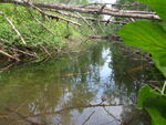 Culvert Crossing, Greenlaw Brook, Limestone, Maine