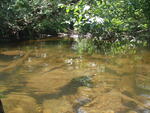 Multiple Culvert Crossing, Connor Twp, Maine