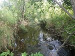 Culvert Crossing, Silver Spring Brook, Limestone, Maine