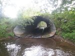 Culvert Crossing, Silver Spring Brook, Limestone, Maine