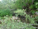 Culvert Crossing, Fort Fairfield, Maine