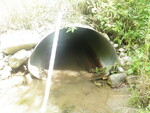 Culvert Crossing, Fort Fairfield, Maine