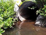 Culvert Crossing, Caribou Stream, New Sweden, Maine