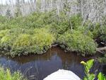 Culvert Crossing, Caribou Stream, New Sweden, Maine